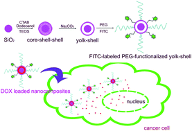 Graphical abstract: A simple transformation from silica core–shell–shell to yolk–shell nanostructures: a useful platform for effective cell imaging and drug delivery