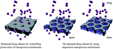 Graphical abstract: Functional nanoporous membranes for drug delivery