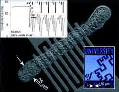 Graphical abstract: Inkjet-printed gas sensors: metal decorated WO3 nanoparticles and their gas sensing properties