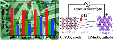 Graphical abstract: Reducing hydrated protons co-intercalation to enhance cycling stability of CuV2O5 nanobelts: a new anode material for aqueous lithium ion batteries