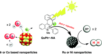 Graphical abstract: Catalytic activity of metal-based nanoparticles for photocatalytic water oxidation and reduction