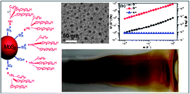 Graphical abstract: Solvent-free ionic molybdenum disulphide (MoS2) nanofluids