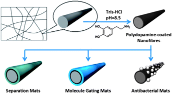 Graphical abstract: Polydopamine-coated nanofibrous mats as a versatile platform for producing porous functional membranes
