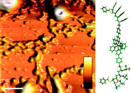 Graphical abstract: Self-assembly of metallopolymer guided by graphene nanoribbons