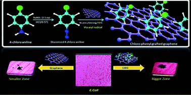Graphical abstract: Chlorophenyl pendant decorated graphene sheet as a potential antimicrobial agent: synthesis and characterization