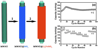 Graphical abstract: In situ generation of Li2FeSiO4 coating on MWNT as a high rate cathode material for lithium ion batteries