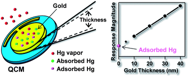 Graphical abstract: Investigation of Hg sorption and diffusion behavior on ultra-thin films of gold using QCM response analysis and SIMS depth profiling