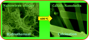 Graphical abstract: Transformation of hydrothermally derived nanowire cluster intermediates into CdSiO3 nanobelts