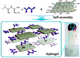 Graphical abstract: Fabrication of pH-sensitive graphene oxide–drug supramolecular hydrogels as controlled release systems