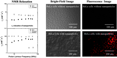 Graphical abstract: Fluorescent and paramagnetic core–shell hybrid nanoparticles for bi-modal magnetic resonance/luminescence imaging
