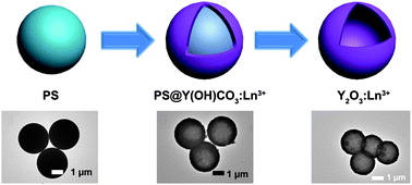 Graphical abstract: General and facile method to fabricate uniform Y2O3:Ln3+ (Ln3+ = Eu3+, Tb3+) hollow microspheres using polystyrene spheres as templates