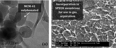 Graphical abstract: SPEEK and functionalized mesoporous MCM-41 mixed matrix membranes for CO2 separations