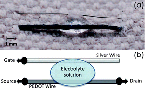 Graphical abstract: A single cotton fiber organic electrochemical transistor for liquid electrolyte saline sensing