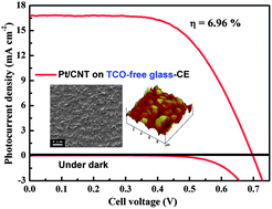 Graphical abstract: A dual-functional Pt/CNT TCO-free counter electrode for dye-sensitized solar cell
