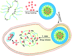 Graphical abstract: Temperature-triggered redox-degradable poly(ether urethane) nanoparticles for controlled drug delivery