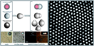 Graphical abstract: Synthesis of fluorescent monodisperse non-spherical dumbbell-like model colloids