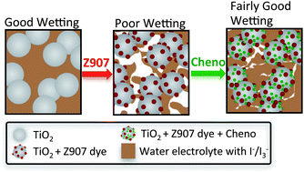 Graphical abstract: Managing wetting behavior and collection efficiency in photoelectrochemical devices based on water electrolytes; improvement in efficiency of water/iodide dye sensitised cells to 4%