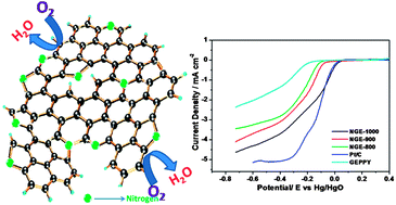 Graphical abstract: Graphene enriched with pyrrolic coordination of the doped nitrogen as an efficient metal-free electrocatalyst for oxygen reduction