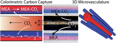 Graphical abstract: A three-dimensional microvascular gas exchange unit for carbon dioxide capture