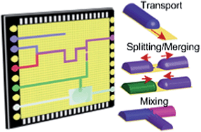 Graphical abstract: Reconfigurable virtual electrowetting channels