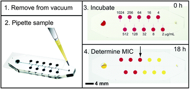 Graphical abstract: A self-loading microfluidic device for determining the minimum inhibitory concentration of antibiotics
