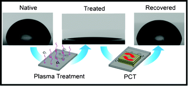 Graphical abstract: Induced hydrophobic recovery of oxygen plasma-treated surfaces