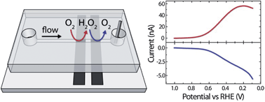 Graphical abstract: Dual-electrode microfluidic cell for characterizing electrocatalysts