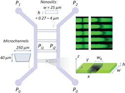 Graphical abstract: Fluorescence photobleaching to evaluate flow velocity and hydrodynamic dispersion in nanoslits
