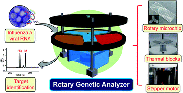 Graphical abstract: Ultrafast Rotary PCR system for multiple influenza viral RNA detection