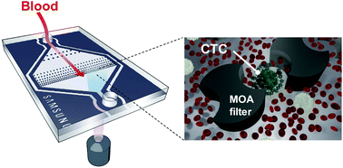 Graphical abstract: SSA-MOA: a novel CTC isolation platform using selective size amplification (SSA) and a multi-obstacle architecture (MOA) filter