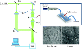 Graphical abstract: Microscopy imaging and quantitative phase contrast mapping in turbid microfluidic channels by digital holography