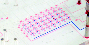 Graphical abstract: High-throughput immunoassay through in-channel microfluidic patterning
