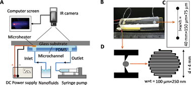 Graphical abstract: Thermal analysis of nanofluids in microfluidics using an infrared camera