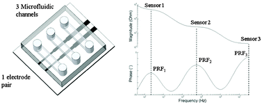 Graphical abstract: A microfluidic-based frequency-multiplexing impedance sensor (FMIS)