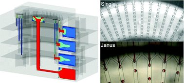 Graphical abstract: High-volume production of single and compound emulsions in a microfluidic parallelization arrangement coupled with coaxial annular world-to-chip interfaces