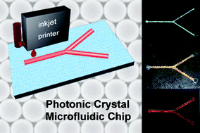 Graphical abstract: Direct-writing colloidal photonic crystal microfluidic chips by inkjet printing for label-free protein detection