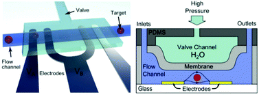 Graphical abstract: Microfluidic cell volume sensor with tunable sensitivity