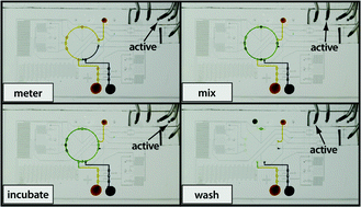 Graphical abstract: Semi-autonomous liquid handling via on-chip pneumatic digital logic