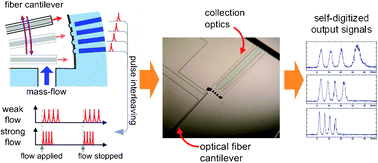 Graphical abstract: A biomimetic mass-flow transducer utilizing all-optofluidic generation of self-digitized, pulse code-modulated optical pulse trains