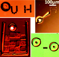 Graphical abstract: Hydrogel microrobots actuated by optically generated vapour bubbles
