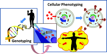 Graphical abstract: Optofluidic detection for cellular phenotyping
