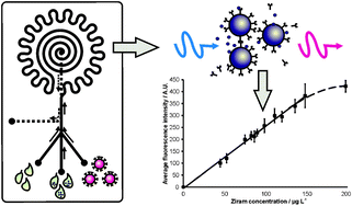 Graphical abstract: Gold nanoparticle-based optical microfluidic sensors for analysis of environmental pollutants