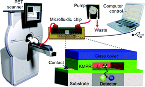 Graphical abstract: Blood compatible microfluidic system for pharmacokinetic studies in small animals