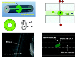 Graphical abstract: Nanofracture on fused silica microchannel for Donnan exclusion based electrokinetic stacking of biomolecules