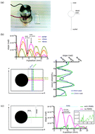 Graphical abstract: Fragmentation of DNA in a sub-microliter microfluidic sonication device