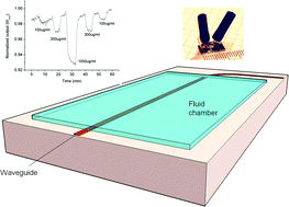 Graphical abstract: Cocaine detection by a mid-infrared waveguide integrated with a microfluidic chip