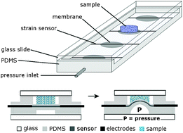 Graphical abstract: Miniaturized platform with on-chip strain sensors for compression testing of arrayed materials