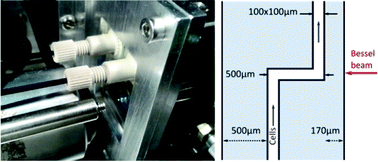 Graphical abstract: High-throughput optical injection of mammalian cells using a Bessel light beam