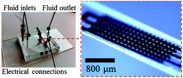 Graphical abstract: Low cost integration of 3D-electrode structures into microfluidic devices by replica molding