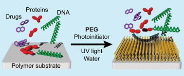 Graphical abstract: One-step polymer surface modification for minimizing drug, protein, and DNA adsorption in microanalytical systems